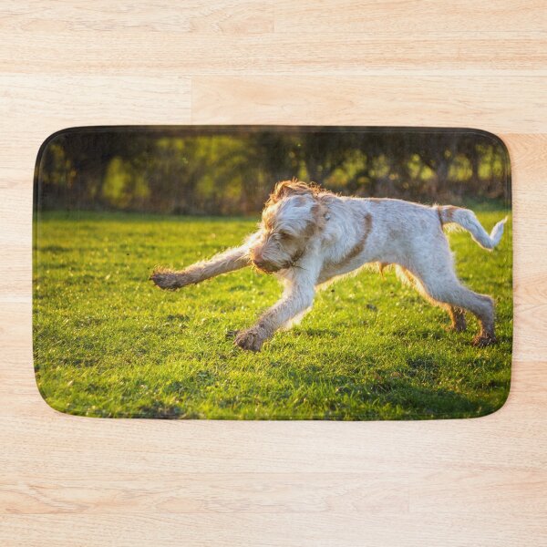 Item preview, Cute Spinone Playing by heidiannemorris © designed and sold by FOLK ART FUSION by heidiannemorris.
