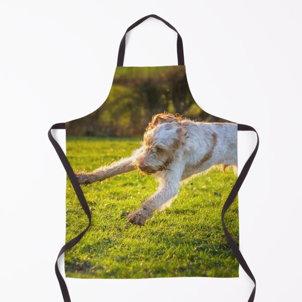 Item preview, Cute Spinone Playing by heidiannemorris © designed and sold by FOLK ART FUSION by heidiannemorris.