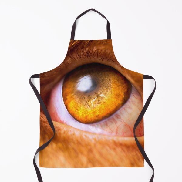 Item preview, Cute Spinone Golden Eye by heidiannemorris © designed and sold by FOLK ART FUSION by heidiannemorris.