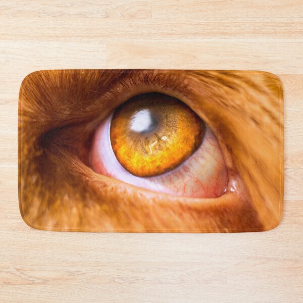 Item preview, Cute Spinone Golden Eye by heidiannemorris © designed and sold by FOLK ART FUSION by heidiannemorris.