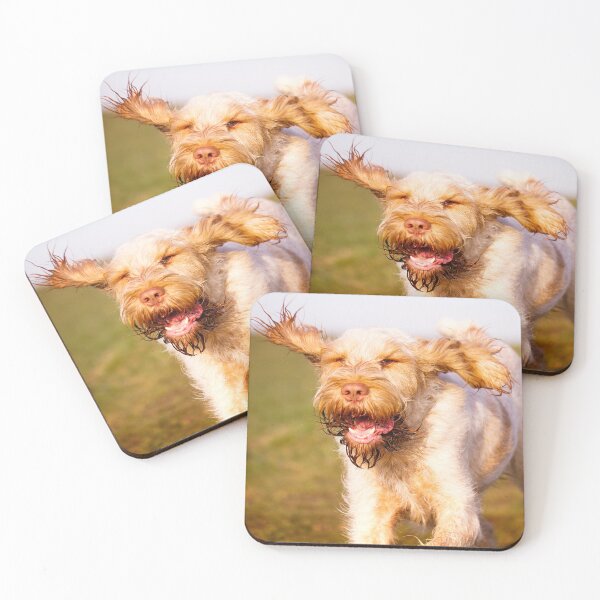 Item preview, Cute Spinone Running with Joy by heidiannemorris © designed and sold by FOLK ART FUSION by heidiannemorris.