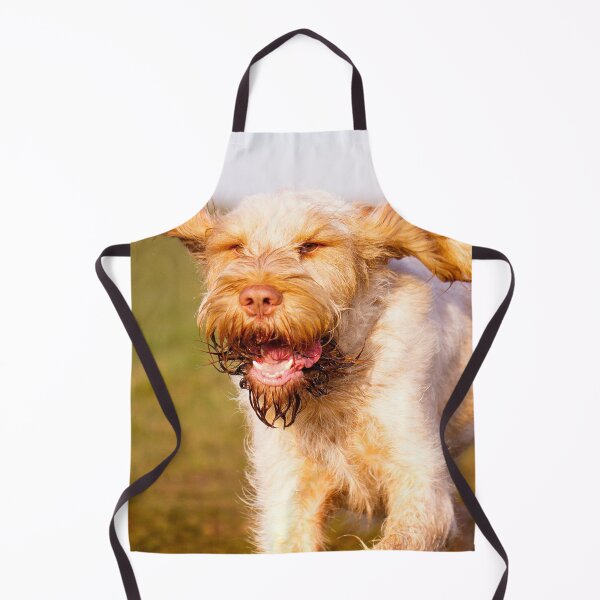 Item preview, Cute Spinone Running with Joy by heidiannemorris © designed and sold by FOLK ART FUSION by heidiannemorris.