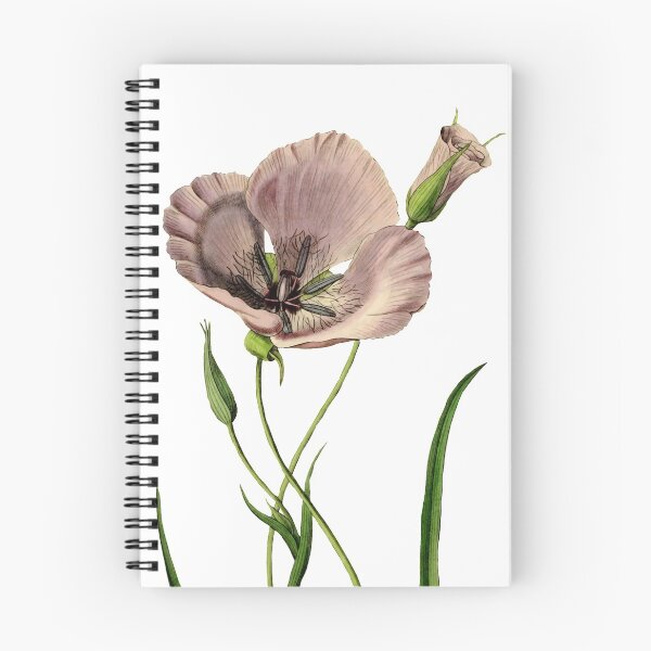 Artikelvorschau, Opium botanische Illustration entworfen und verkauft von YaelleDark.