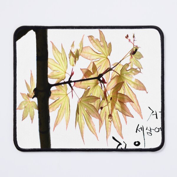 Item preview, sunlight and new leaves designed and sold by jeenkshop.