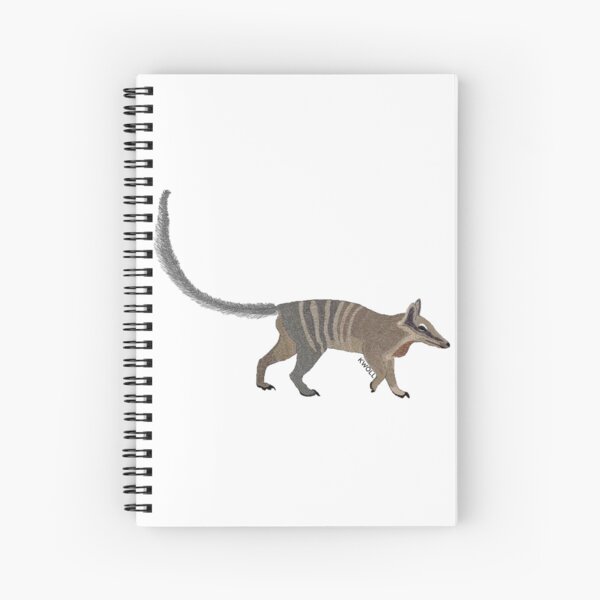 Item preview, Numbat designed and sold by Kwoll-store.