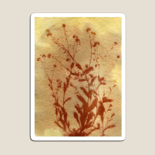 Item preview, Forget-Me-Not Anthotype designed and sold by LymphomaLass.
