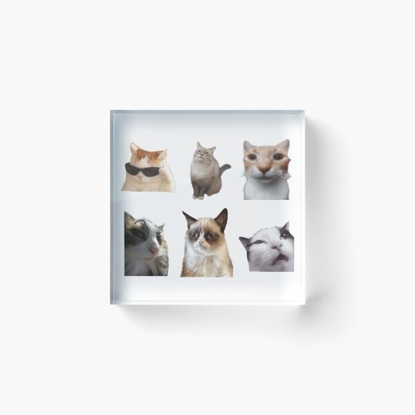 Artikelvorschau, Katzenmemes – Lustige Stickersammlung entworfen und verkauft von NelayArts.