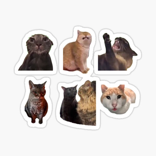 Artikel-Vorschau von Katzen-Meme-Aufkleberpaket, designt und verkauft von NelayArts.