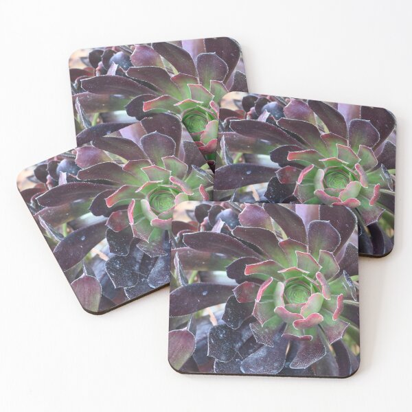 Item preview, Succulents  designed and sold by Photoswithapple.