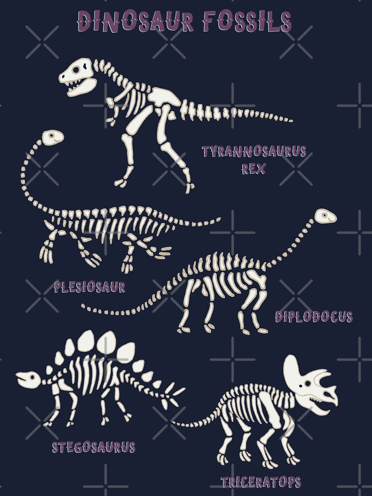 mignon collection dino fossiles dinosaures bébé enfants animal