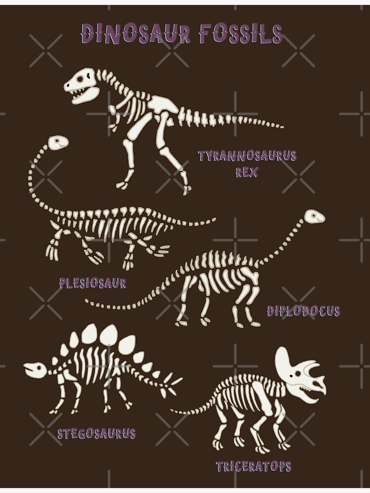 Thumbnail 3 of 3, Sticker, Dinosaur Fossils - cream on brown - Fun graphic pattern by Cecca Designs designed and sold by Cecca-Designs.