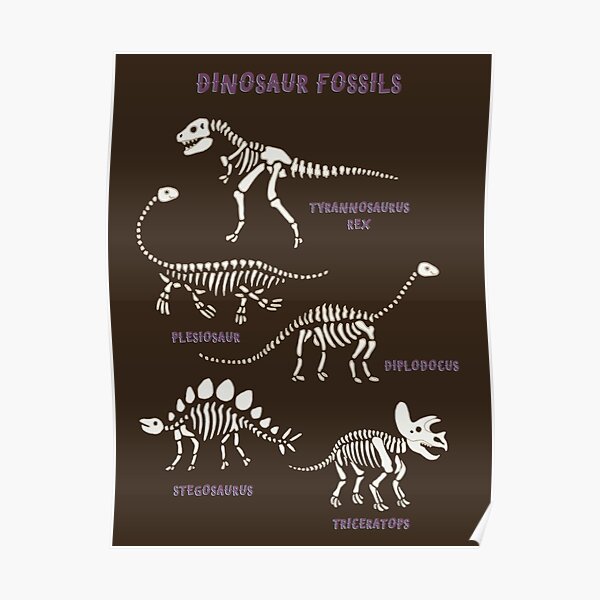 Dinosaur Fossils - cream on brown - Fun graphic pattern by Cecca Designs Poster