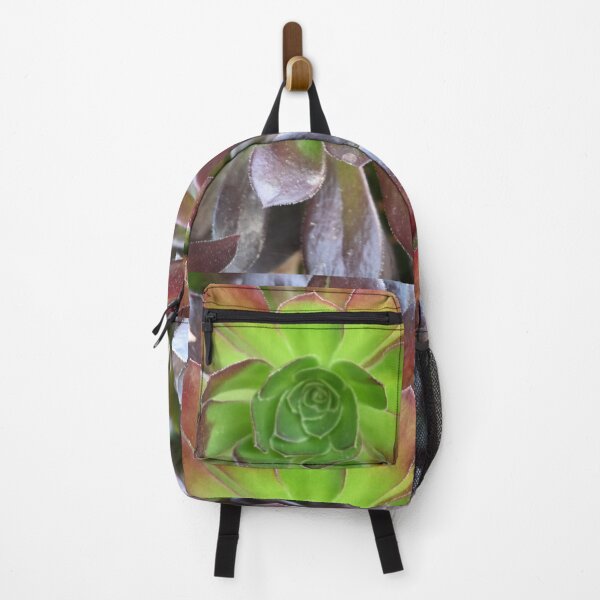 Item preview, Succulent designed and sold by Photoswithapple.