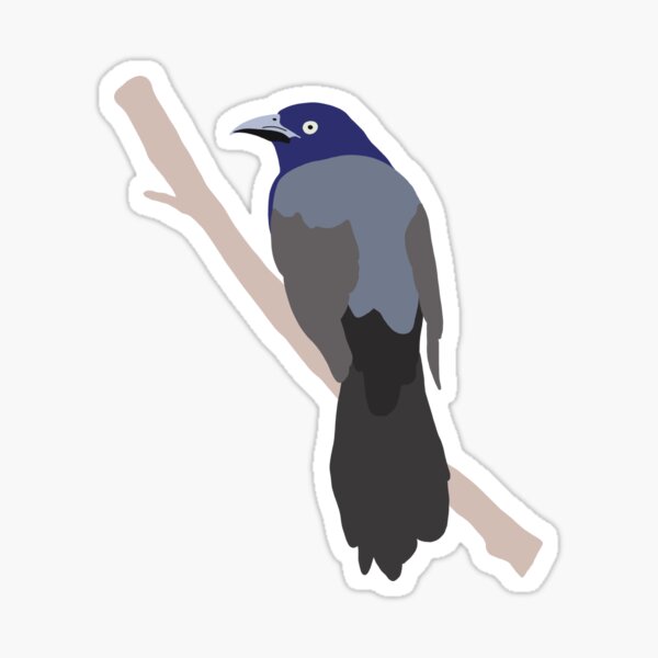 Moody Blue Grackle Bird Illustration Sticker
