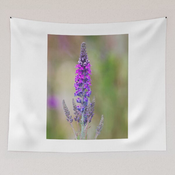 Item preview, Purple Salvia designed and sold by Dorset Girl.