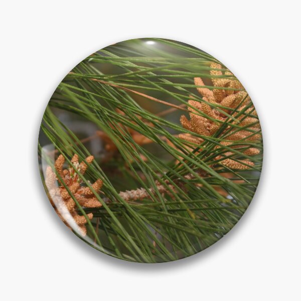 Item preview, Pine designed and sold by Photoswithapple.