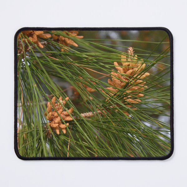 Item preview, Pine designed and sold by Photoswithapple.