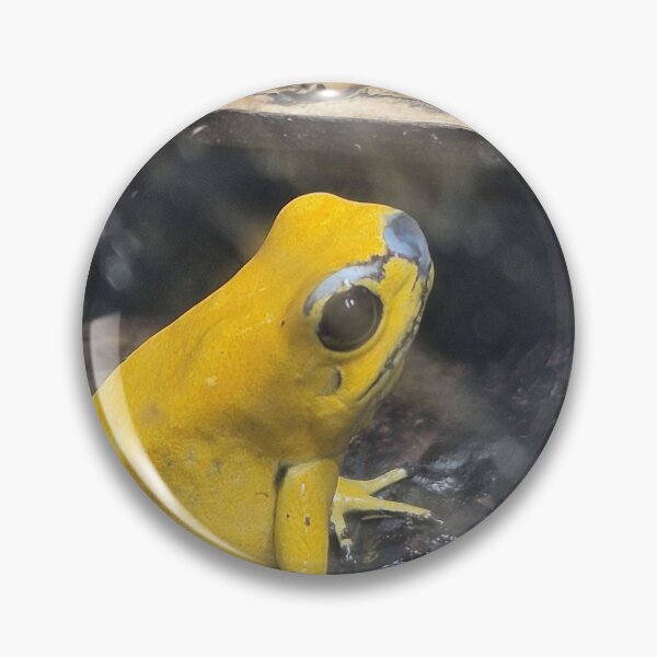 Item preview, Yellow Poison Tree Frog designed and sold by SillvrSlime06.