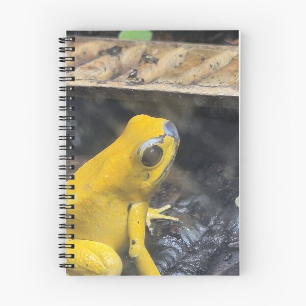 Item preview, Yellow Poison Tree Frog designed and sold by SillvrSlime06.