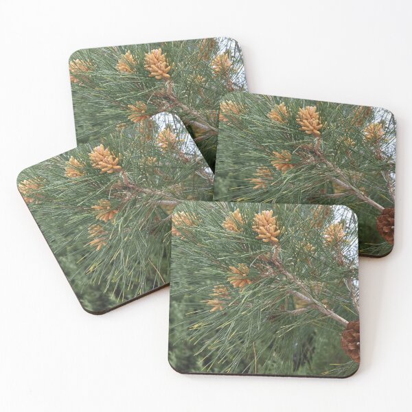 Item preview, Pine  designed and sold by Photoswithapple.