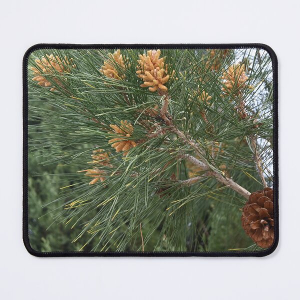 Item preview, Pine  designed and sold by Photoswithapple.