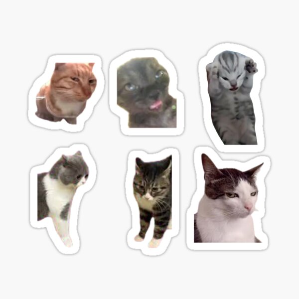 Artikel-Vorschau von Katzen-Meme-Aufkleberpaket, designt und verkauft von NelayArts.