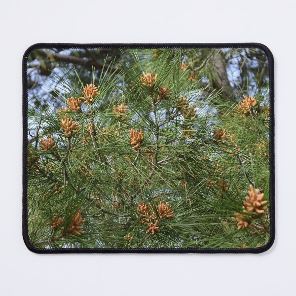 Item preview, Pine  designed and sold by Photoswithapple.