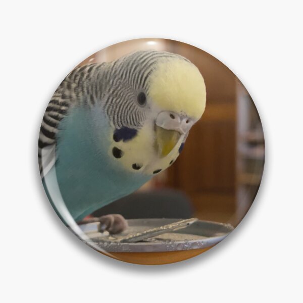 Item preview, Budgie  designed and sold by Photoswithapple.