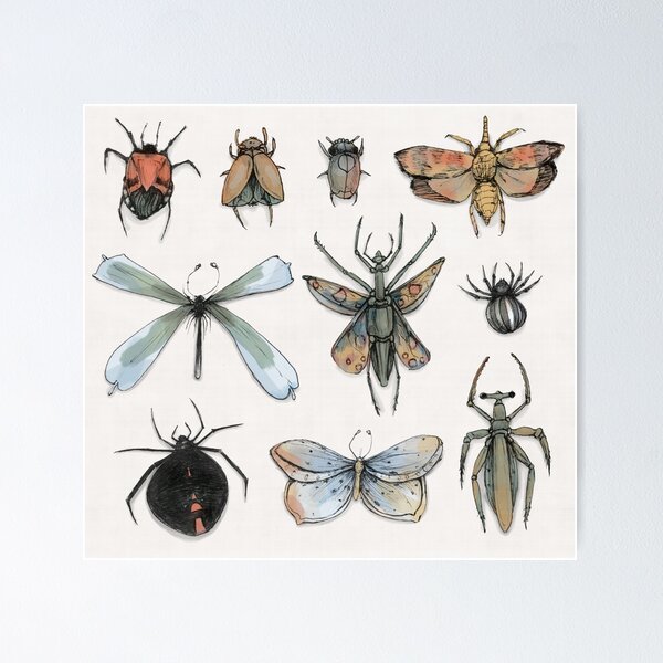 Insects from the Kanto Region | Art Print