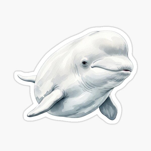 Aperçu de l'œuvre Baleine béluga créée et vendue par 4rtistcDrift.