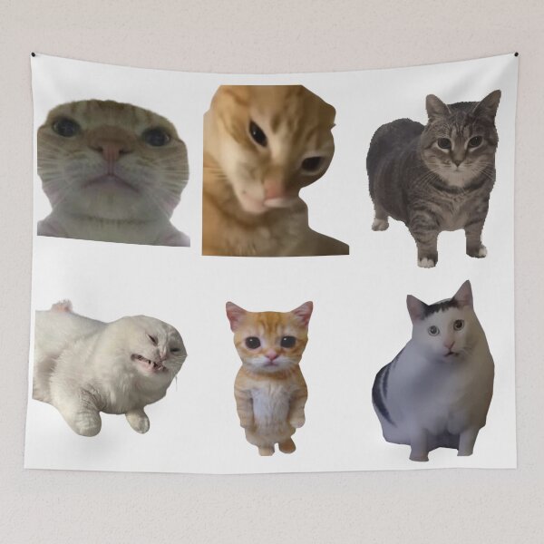 Item preview, Funny Cat Meme Sticker Pack designed and sold by NelayArts.