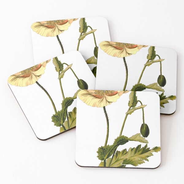 Aperçu de l'œuvre Opium Botanica Vintage créée et vendue par YaelleDark.