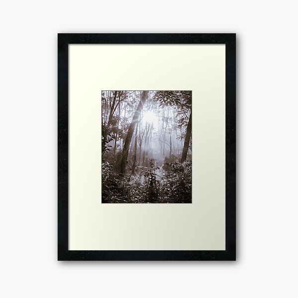 Item preview, Sunlight Through Fog – Silent Forest Sepia Photography designed and sold by Xynith.