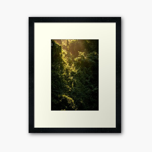 Item preview, Golden Sunlight Through Jungle – Morning Nature Poster designed and sold by Xynith.