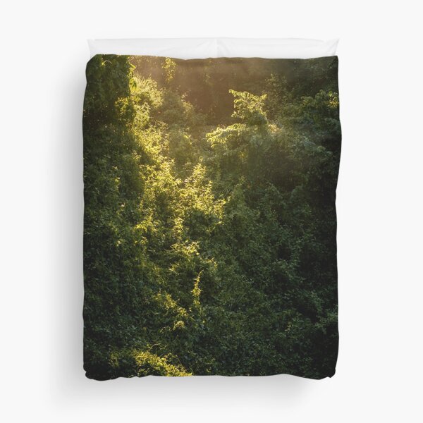 Item preview, Golden Sunlight Through Jungle – Morning Nature Poster designed and sold by Xynith.