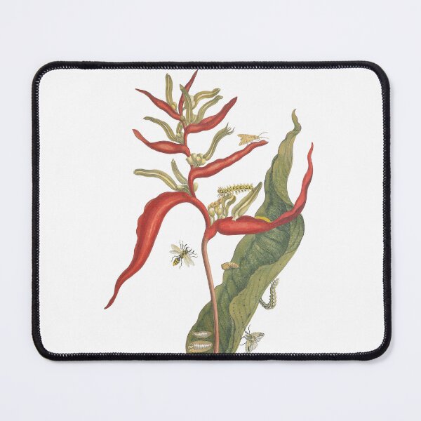 Item preview, Tropical Heliconia & Insects Vintage Botanical Print designed and sold by newyorkwala.