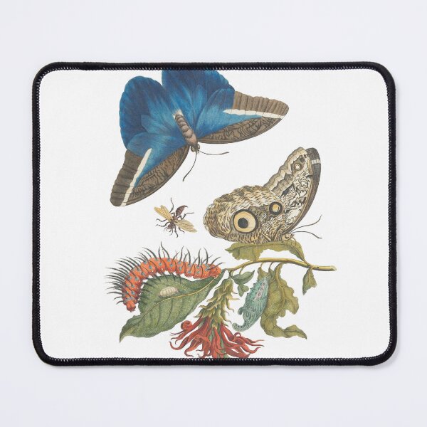 Item preview, Blue Butterfly & Jungle Moths Vintage Botanical Art designed and sold by newyorkwala.
