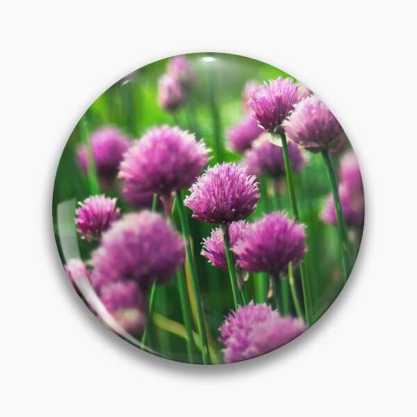Item preview, In Allium Este designed and sold by ElderIslesPress.