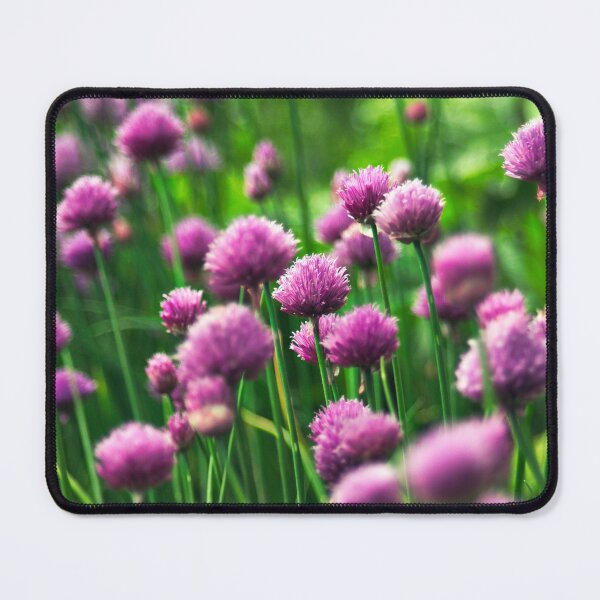 Item preview, In Allium Este designed and sold by ElderIslesPress.
