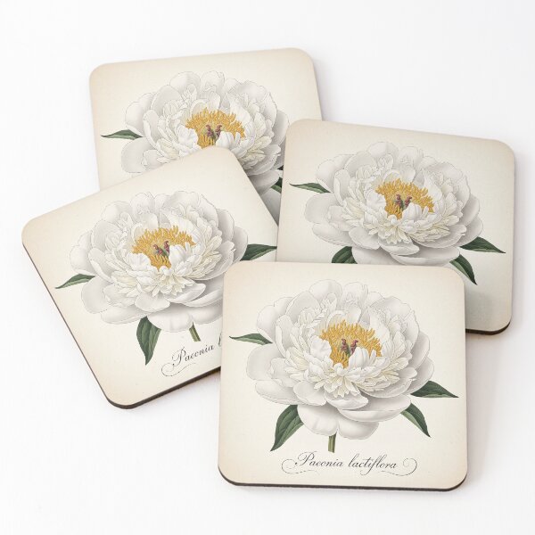 Item preview, Vintage Peony: Paeonia Lactiflora designed and sold by BloomandGrace.