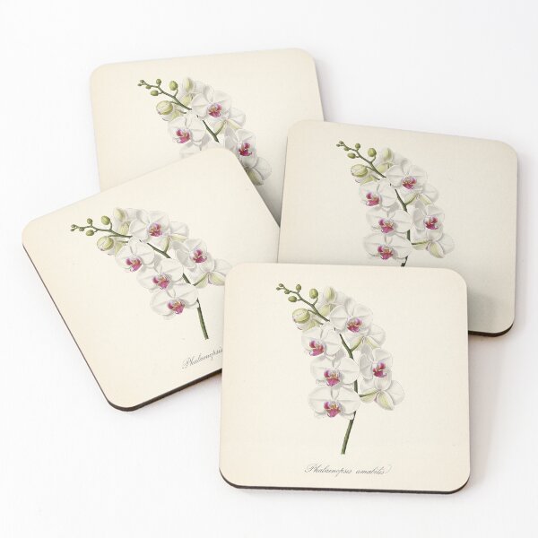 Item preview, Vintage Moth Orchid: Phalaenopsis Amabilis designed and sold by BloomandGrace.