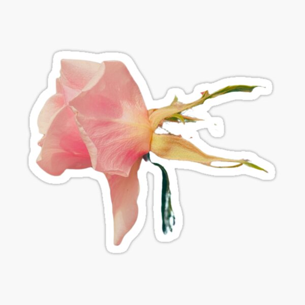 Copia de Renoir Sticker