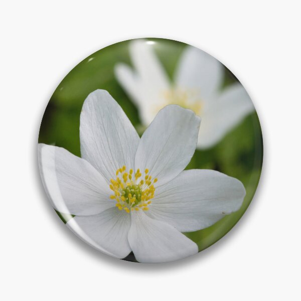 Item preview, 6 pedals. Wood anemone designed and sold by Jouko Lehto Photography.