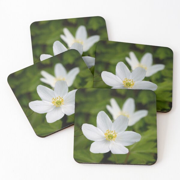 Item preview, 6 pedals. Wood anemone designed and sold by Jouko Lehto Photography.