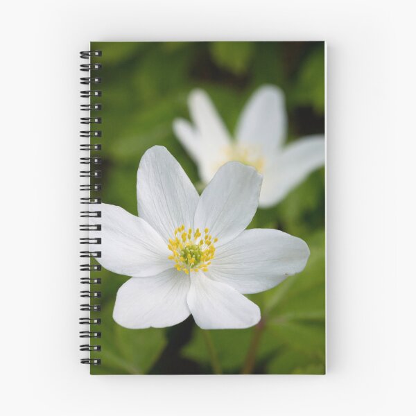 Item preview, 6 pedals. Wood anemone designed and sold by Jouko Lehto Photography.