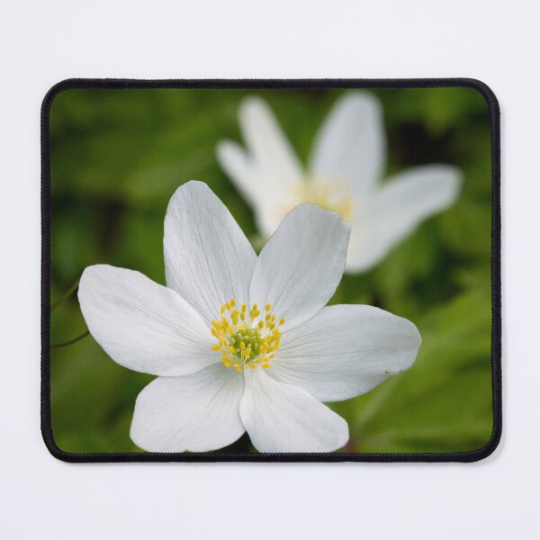 Item preview, 6 pedals. Wood anemone designed and sold by Jouko Lehto Photography.