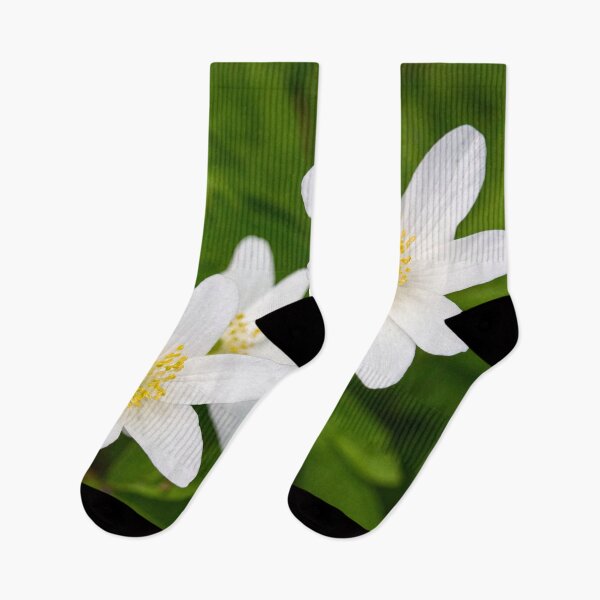 Item preview, 6 7 8 . Wood anemone designed and sold by Jouko Lehto Photography.