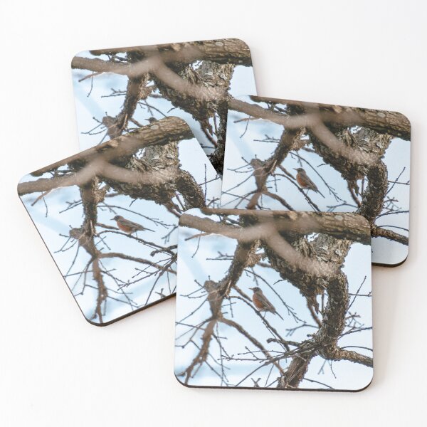 Item preview, Robin’s Rest designed and sold by Carly-Chapman.