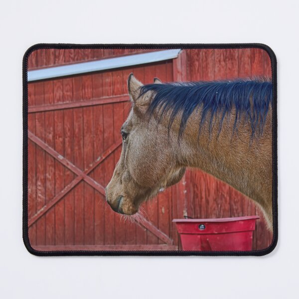 Item preview, Harley The Buckskin designed and sold by alanathrower.