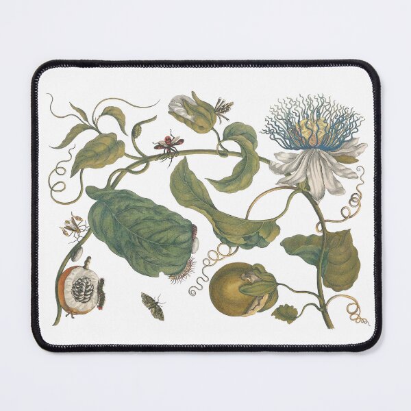 Item preview, Passionflower & Pollinators Vintage Botanical Art designed and sold by newyorkwala.